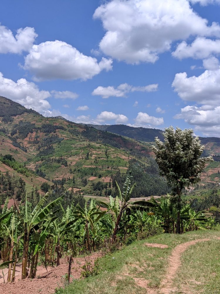 PXL_20220926_090159415