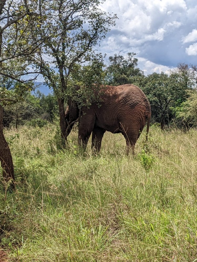 PXL_20230401_112602261.PORTRAIT